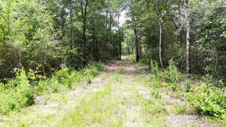 20429 Fettinger Road, Fountain, FL 32438 - #3