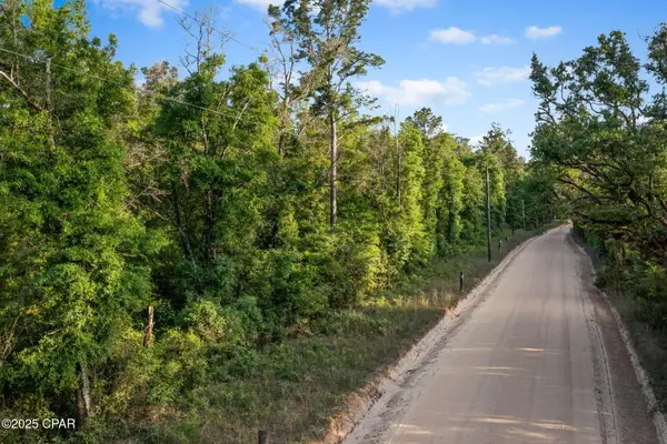 XXX Skipper Road, Vernon, FL 32462