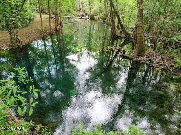 000 79 Highway, Vernon, FL 32462 - Image #1