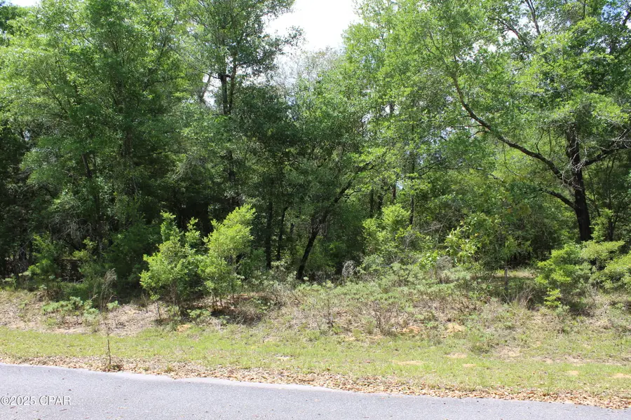Lot 17 Arnone Lane, Chipley, FL 32428 - Image #3