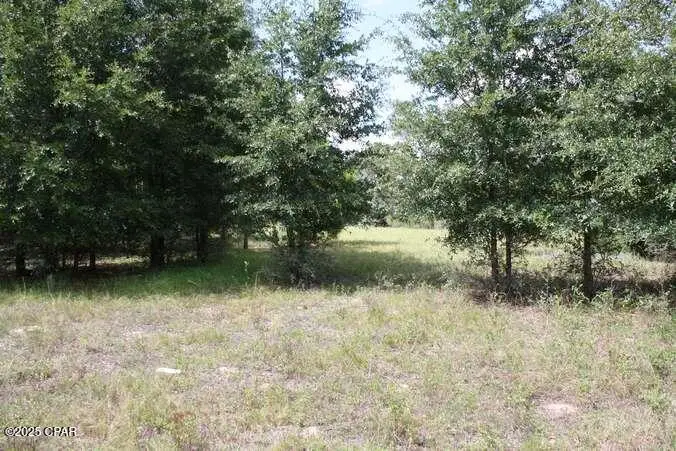 TBD Us 90 Highway, Marianna, FL 32446 - Image #2