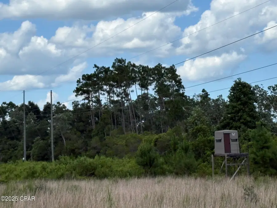 000 Duck Pond Road, Clarksville, FL 32430 - Image #2