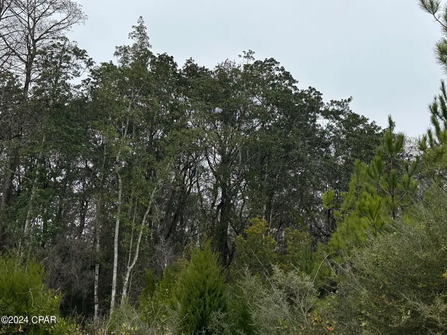 Tract 6418 Mattox Spring #Southern Winds, Caryville, FL 32427 - Image #2