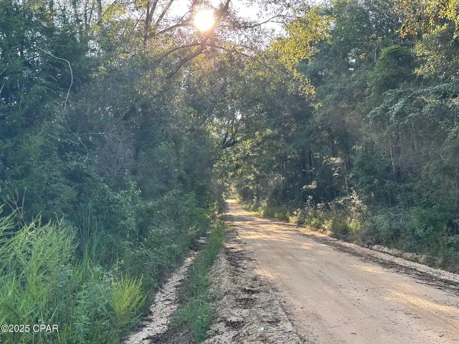 Tract#6201 Doyle Morgan Road, Defuniak Springs, FL 32433 - #2