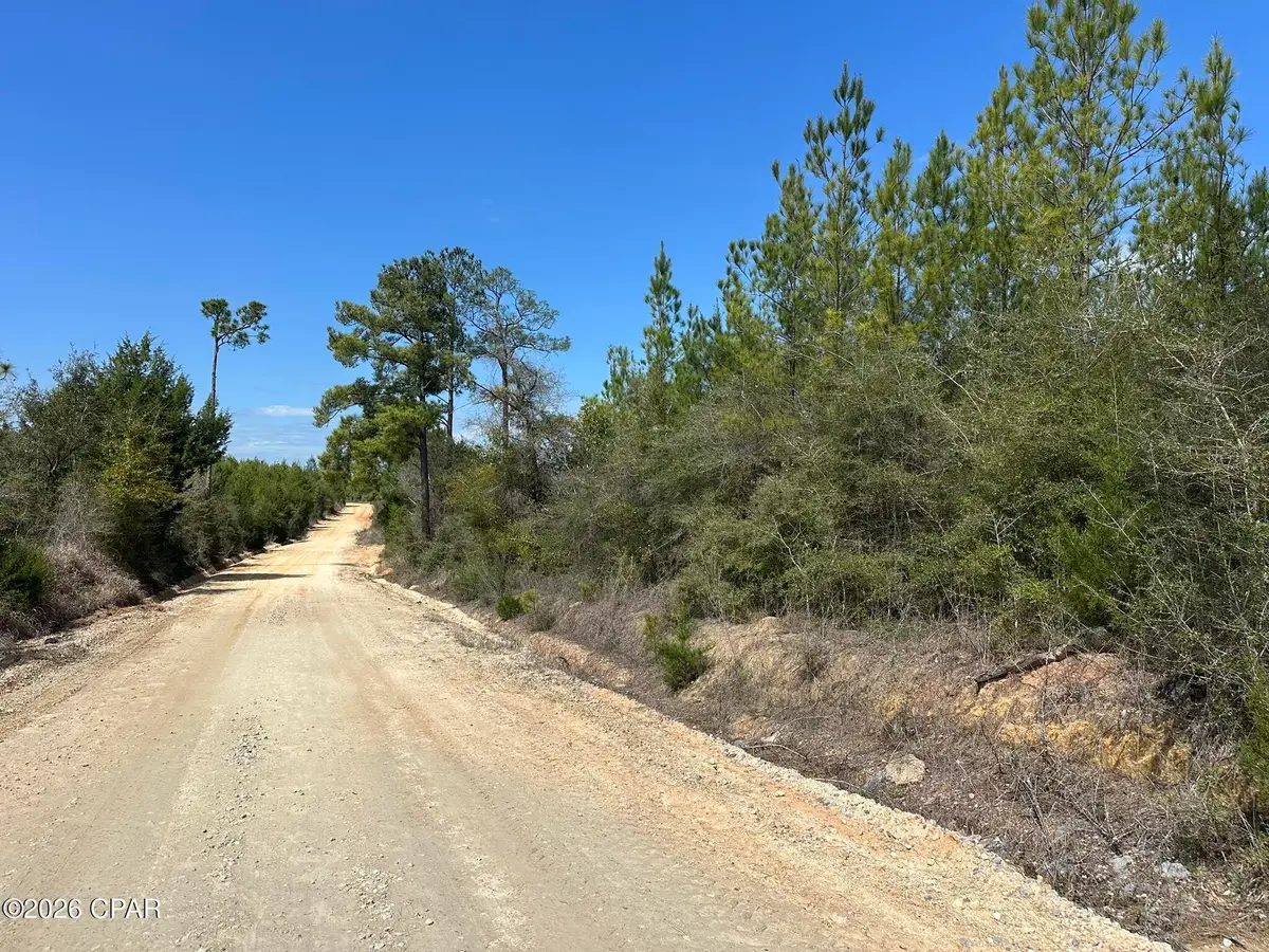 Tract# Mattox Springs Road #North 2, Caryville, FL 32427 - #1