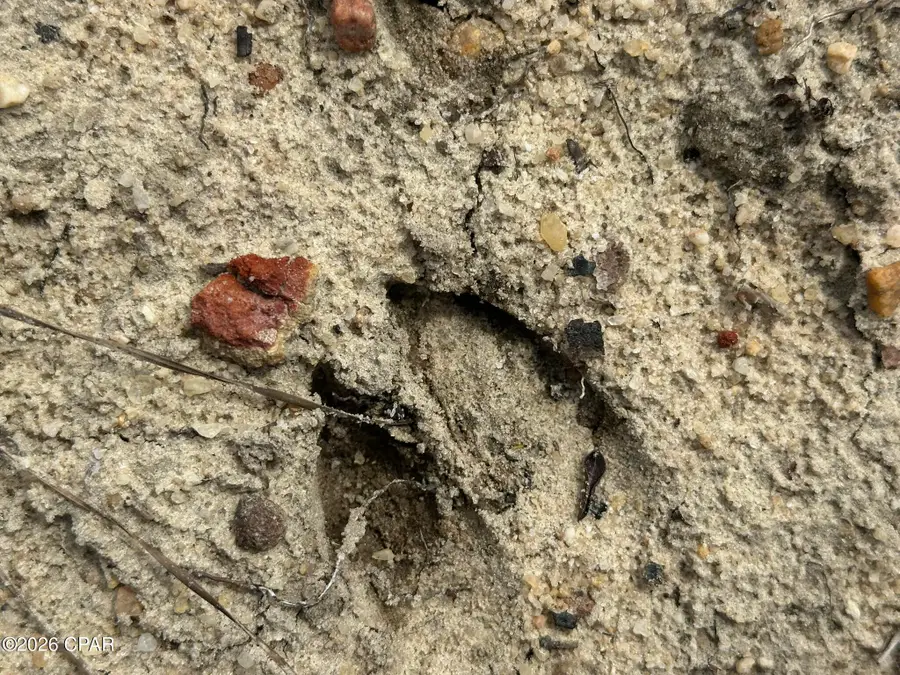 Tract# Mattox Springs Road #North 2, Caryville, FL 32427 - #3