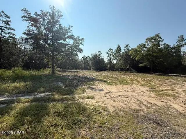 0 Hwy 77, Chipley, FL 32428 - Image #1