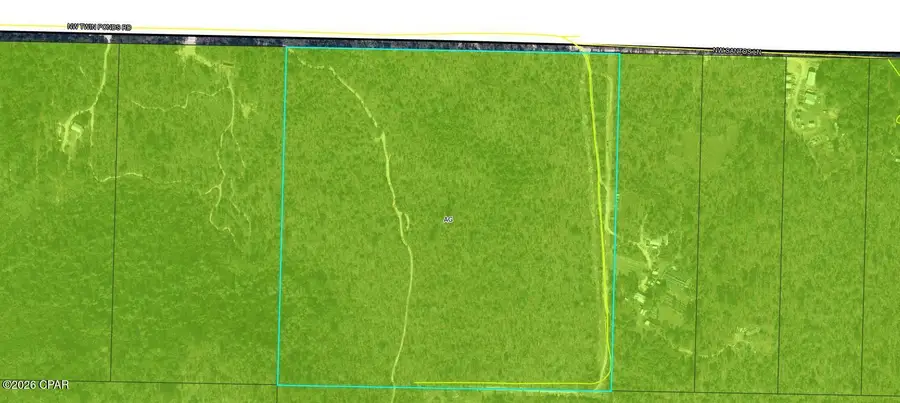 TBD Twin Ponds Road, Altha, FL 32421 - #3