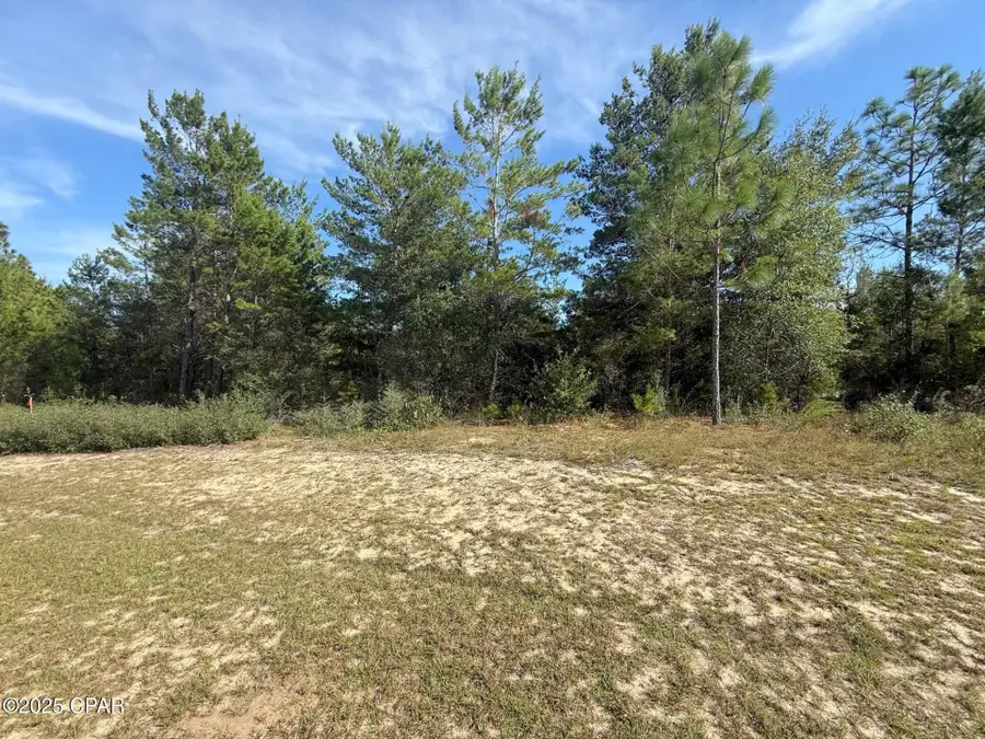 XXX Shenandoah Boulevard #Lot 4, Chipley, FL 32428 - Image #2