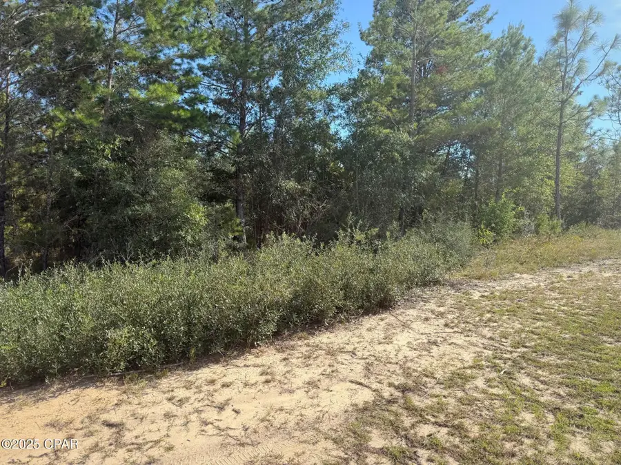 XXX Shenandoah Boulevard #Lot 4, Chipley, FL 32428 - Image #3