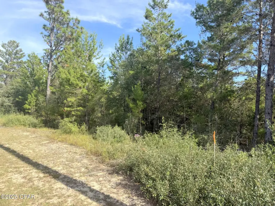 XXX Shenandoah Boulevard #Lot 3, Chipley, FL 32428 - Image #2