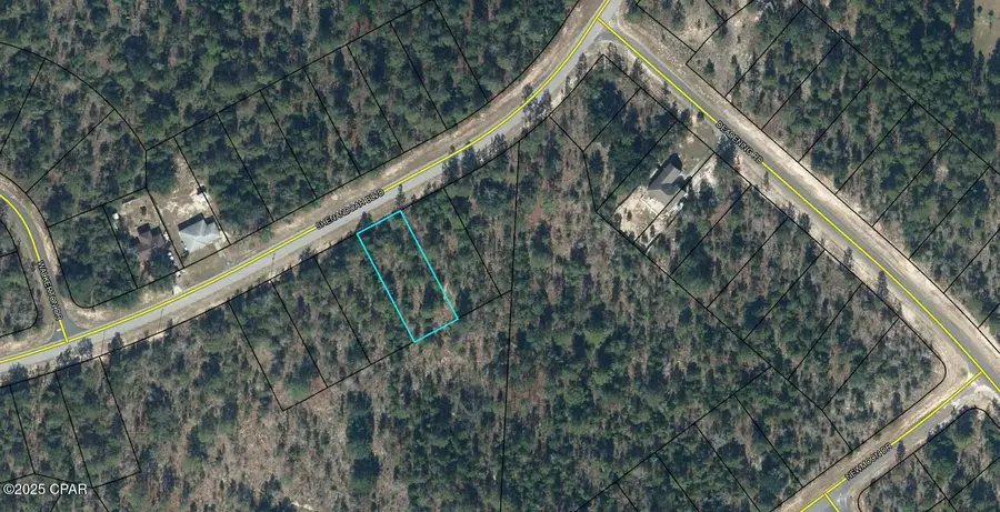 XXX Shenandoah Boulevard #Lot 3, Chipley, FL 32428 - Image #3
