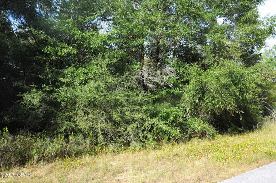 00 Quaker Street, Chipley, FL 32428 - Image #2