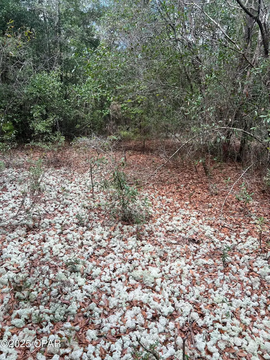 Lot 23 Geraldine Circle, Chipley, FL 32428 - Image #3