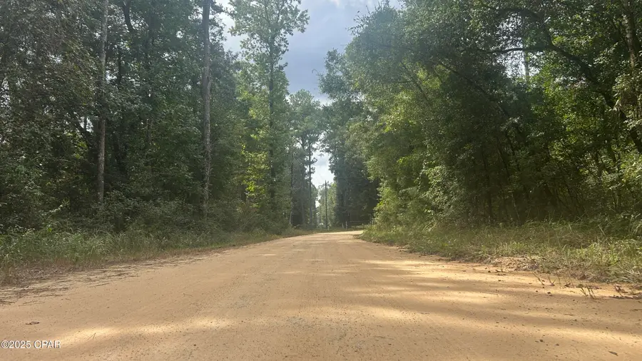 0 Strickland Road, Ebro, FL 32437 - Image #3