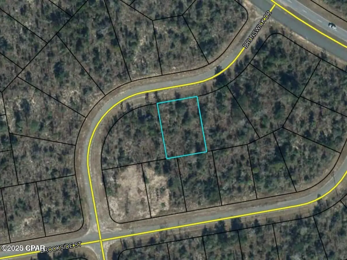 Lot 4 Brunswick Drive, Chipley, FL 32428 - #1