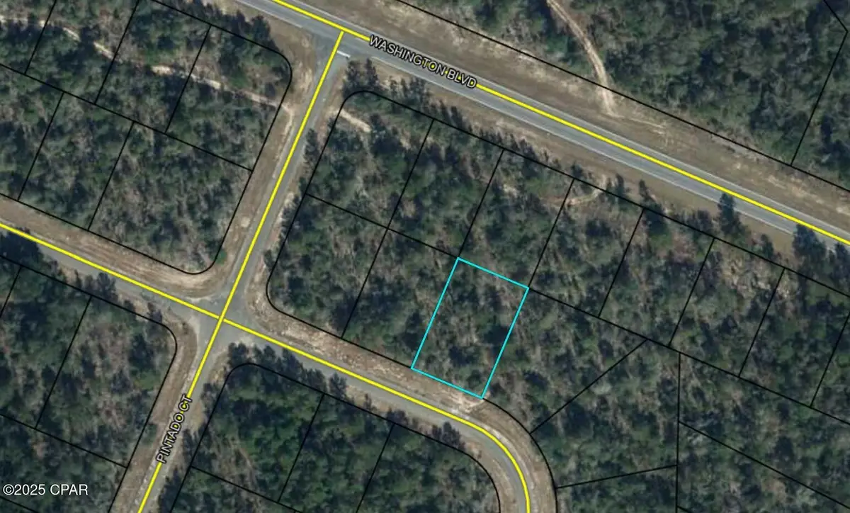 Loy 16 Ardenwood Drive, Chipley, FL 32428 - #1