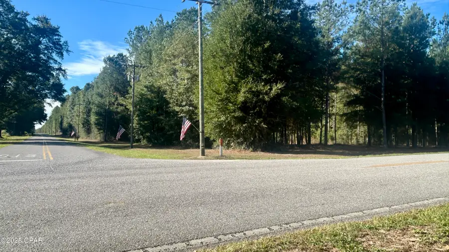 0 Flowersview Boulevard, Laurel Hill, FL 32567 - Image #3