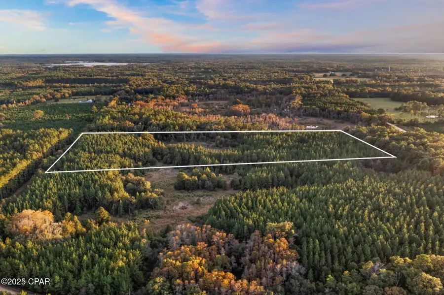 XXX Fortune Pond Road #(South 20 acres), Vernon, FL 32462 - Image #3