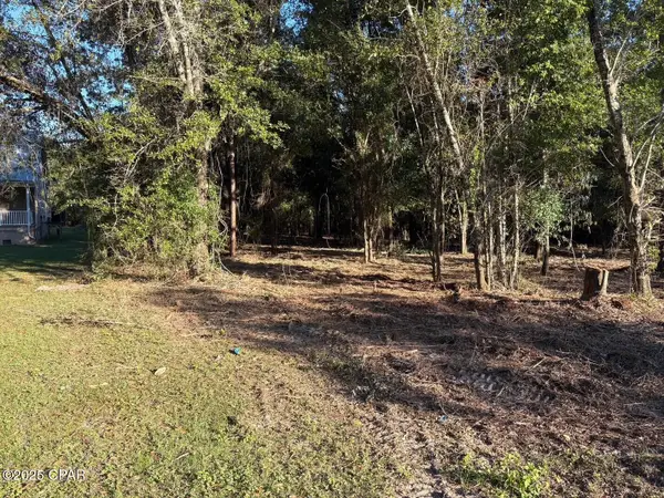 Lot 9 &10 W West Arm Drive, Wewahitchka, FL 32465