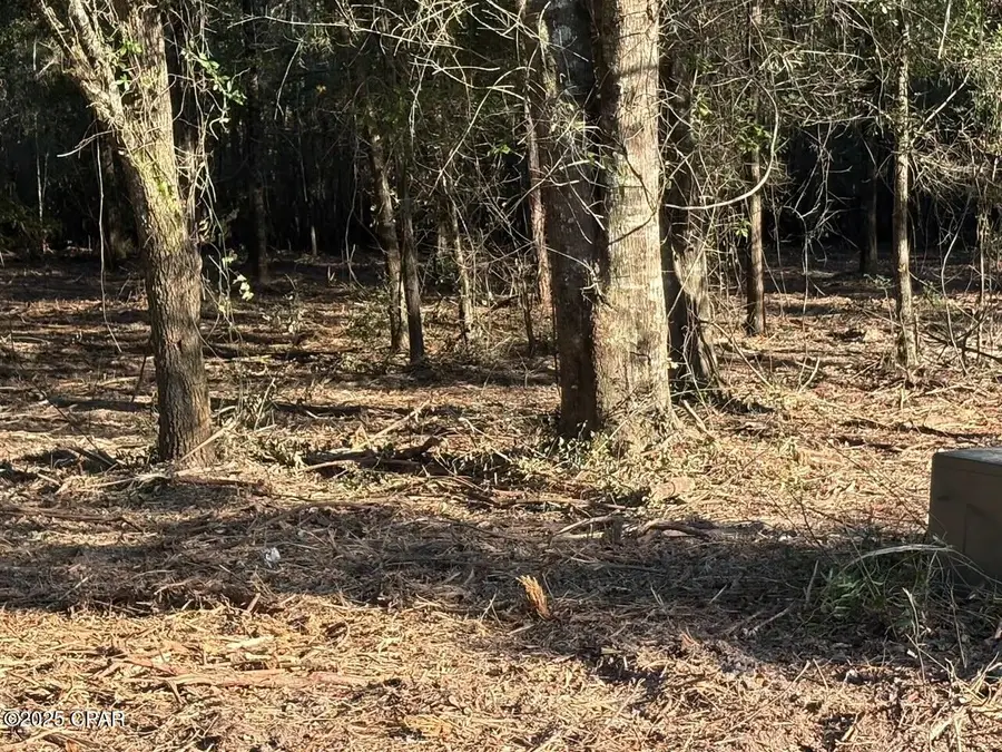 Lot 9 &10 W West Arm Drive, Wewahitchka, FL 32465 - Image #3