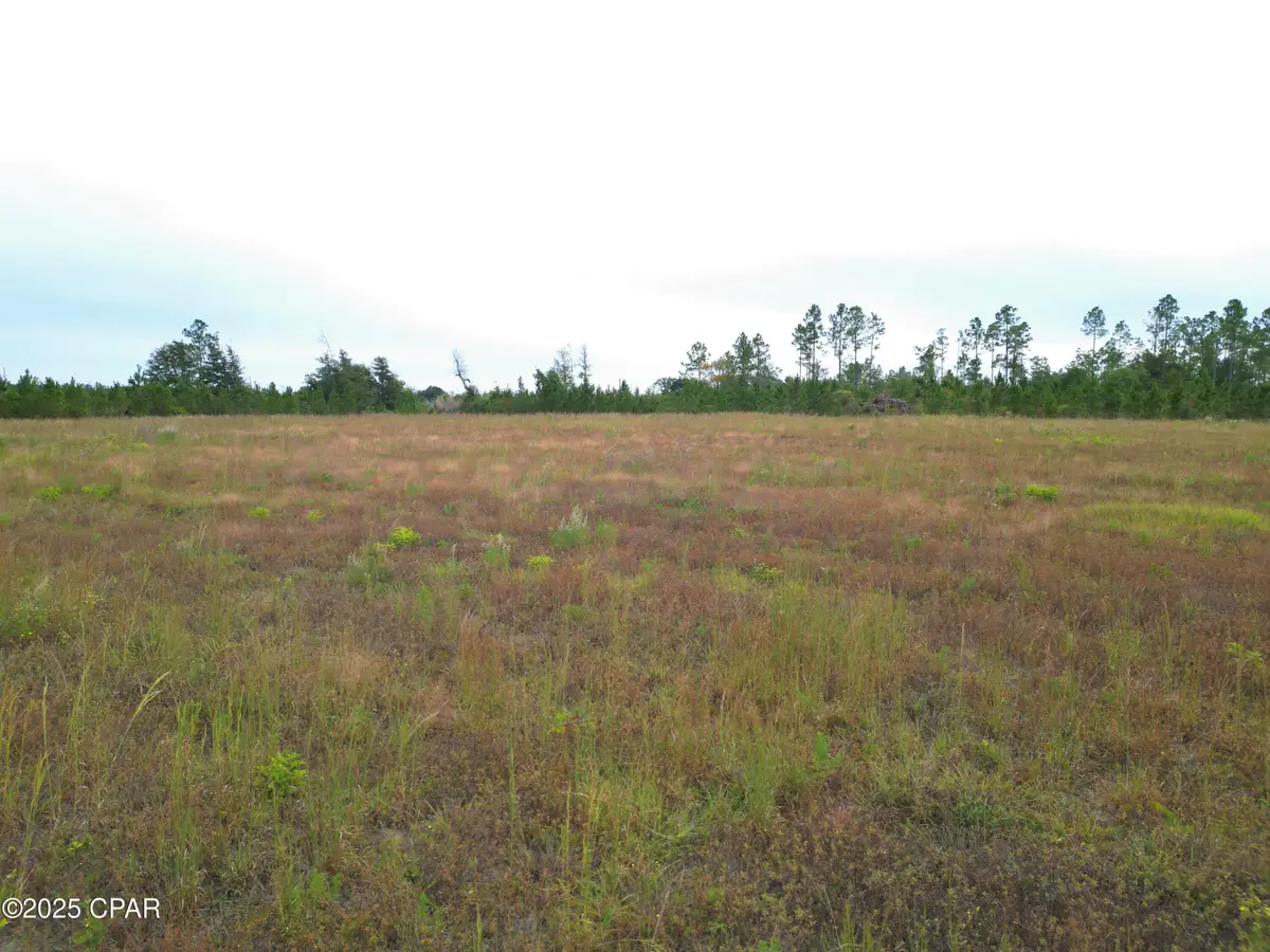 00 Glenmore Court, Marianna, FL 32446 - Image #1