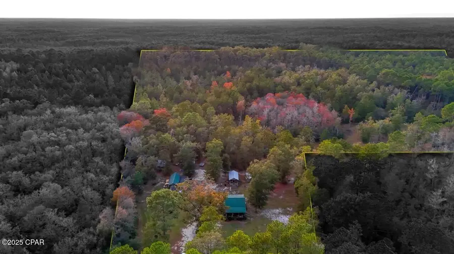 38134 SW Forest Road 123, Bristol, FL 32321 - Image #2