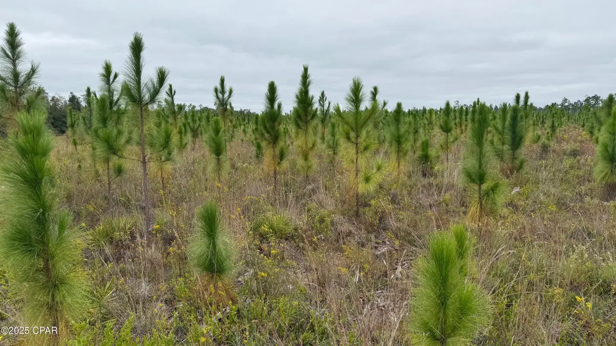 10900 E Hwy 388, Youngstown, FL 32466 - Image #1