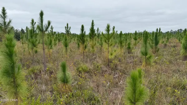 10900 E Hwy 388, Youngstown, FL 32466