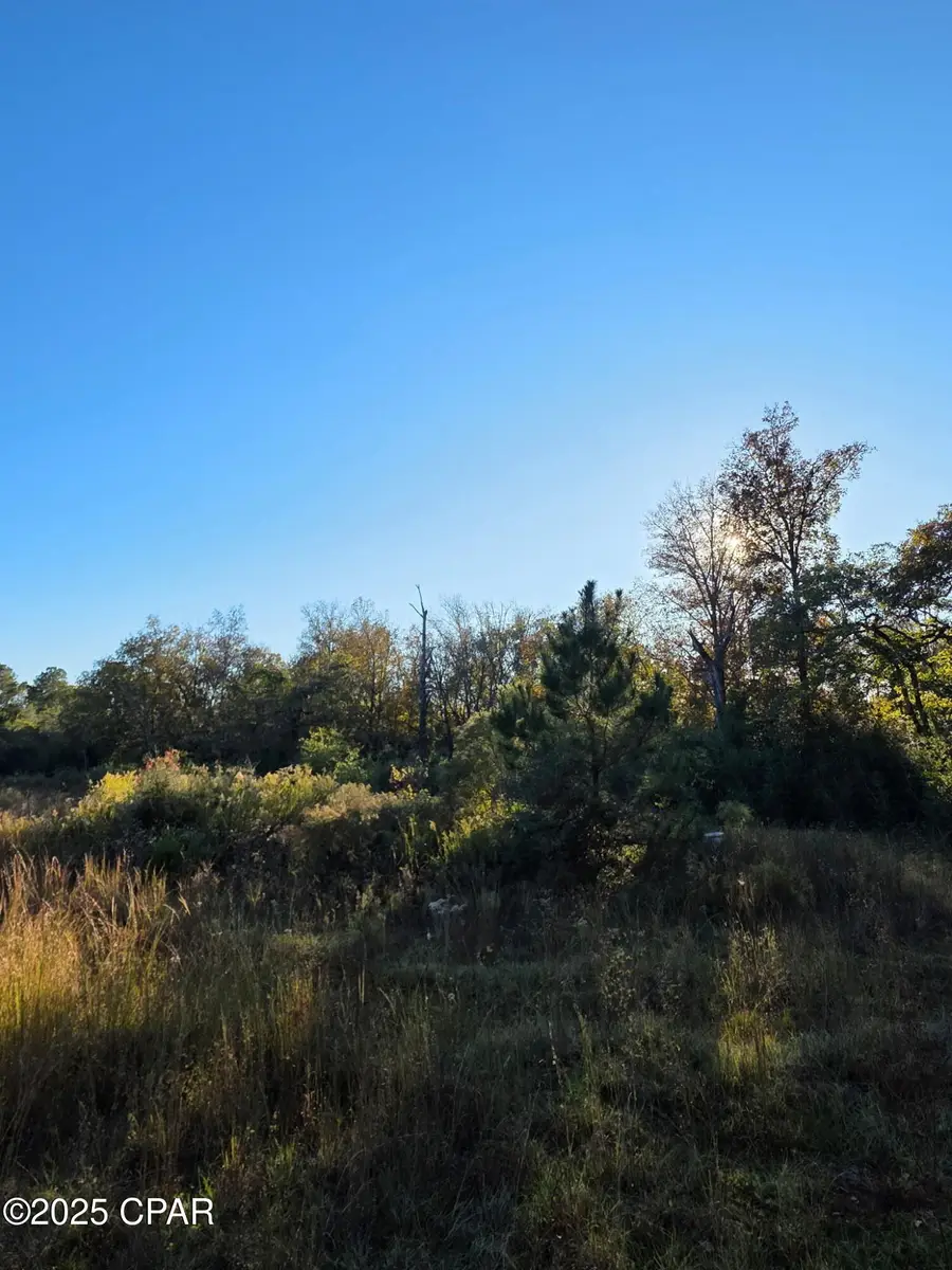 2785 Otter Pond Road, Westville, FL 32464 - Image #3