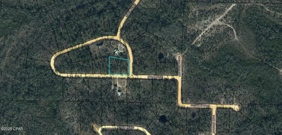 Lot #1 Arpana Circle, Alford, FL 32420 - Image #2