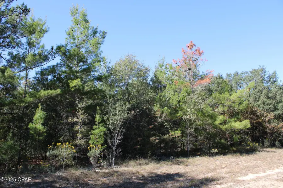 0 Overton Drive, Chipley, FL 32428 - Image #3