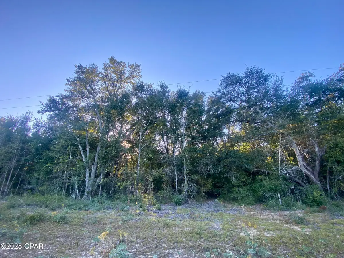 Lot 2 Coronado Avenue, Alford, FL 32420 - Image #1