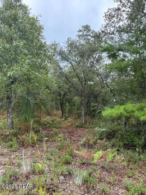 0 NW White Road, Altha, FL 32421