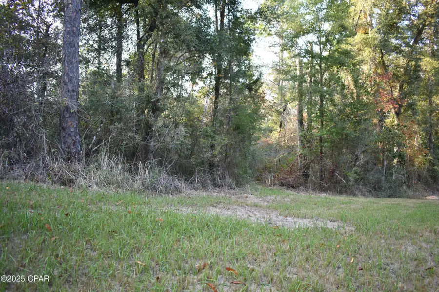 Lot 1 Lakeview Rd., Caryville, FL 32427 - Image #2