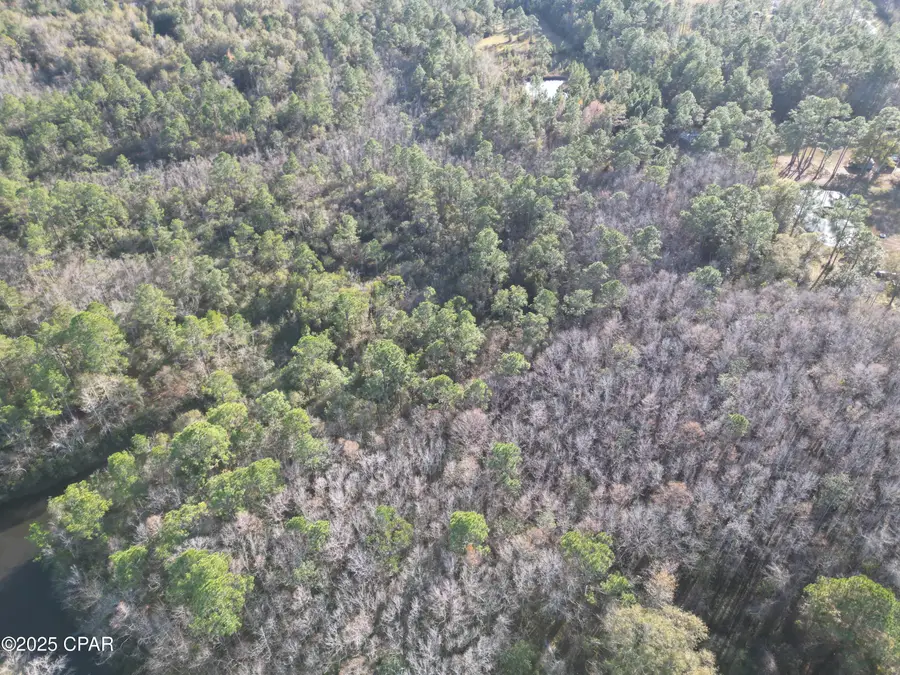 1551 Highway 177a, Bonifay, FL 32425 - Image #3