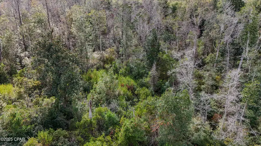 35 2n 12w, Fountain, FL 32438 - Image #3