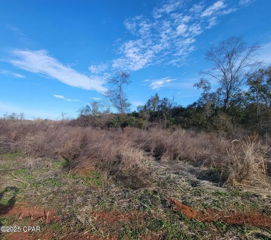 TBD Gainer Cemetery Road, Graceville, FL 32440 - Image #2