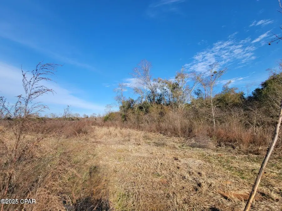 TBD Gainer Cemetery Road, Graceville, FL 32440 - Image #3