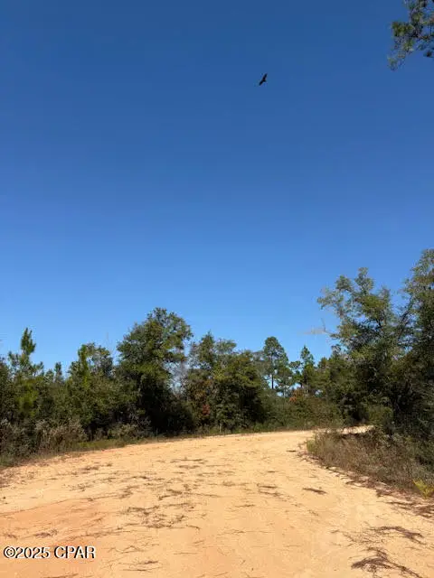 0 Southern Boulevard #Lot 27, Alford, FL 32420 - Image #2