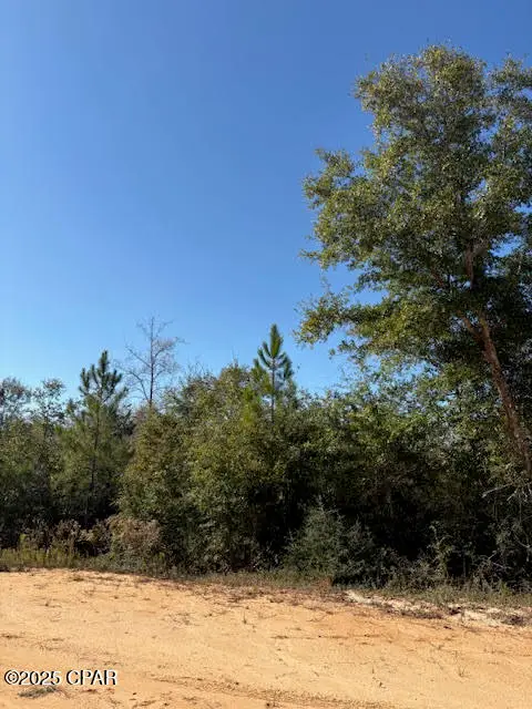 0 Southern Boulevard #Lot 27, Alford, FL 32420 - Image #3
