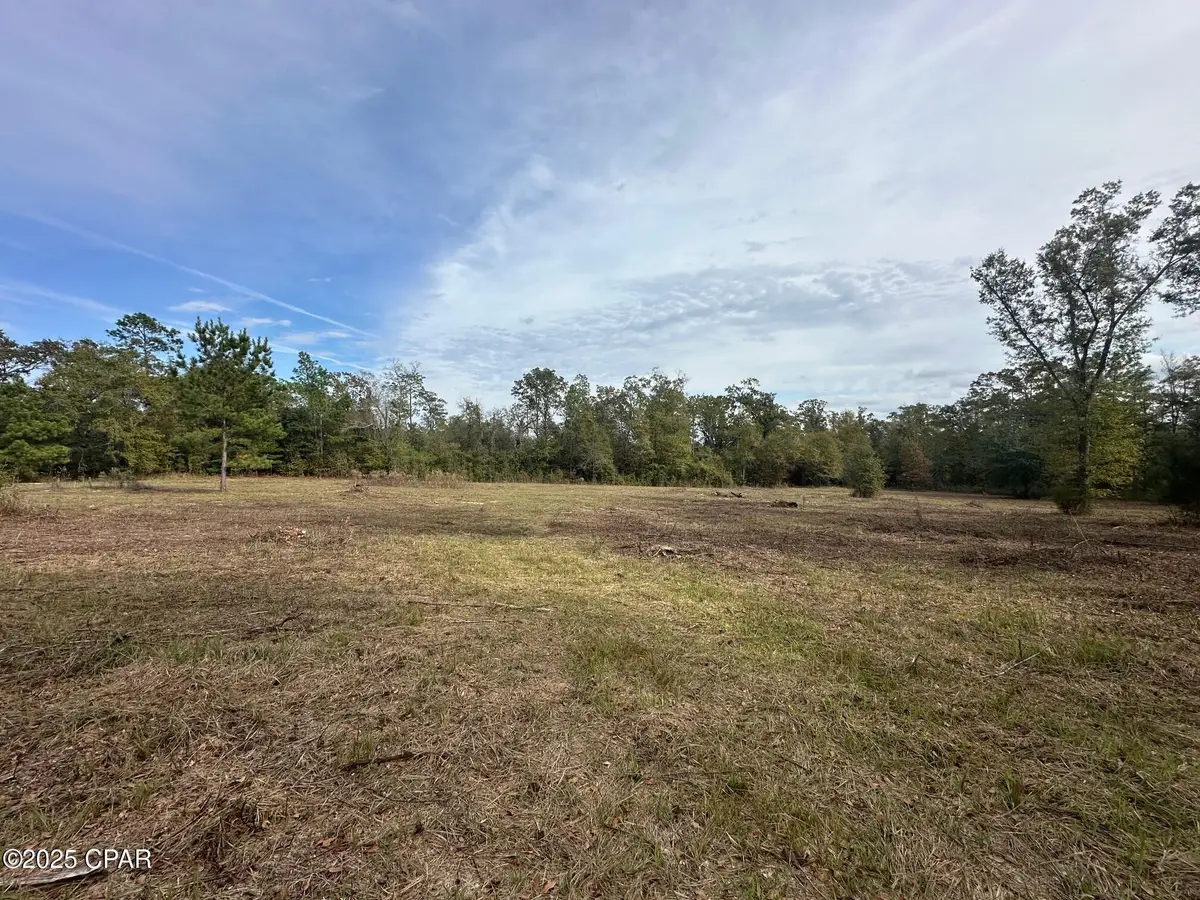 2194 Mohawk Trail, Sneads, FL 32460 - Image #1