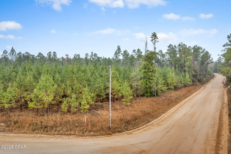 XXX White Road #12.78 Acres, Chipley, FL 32428 - Image #2