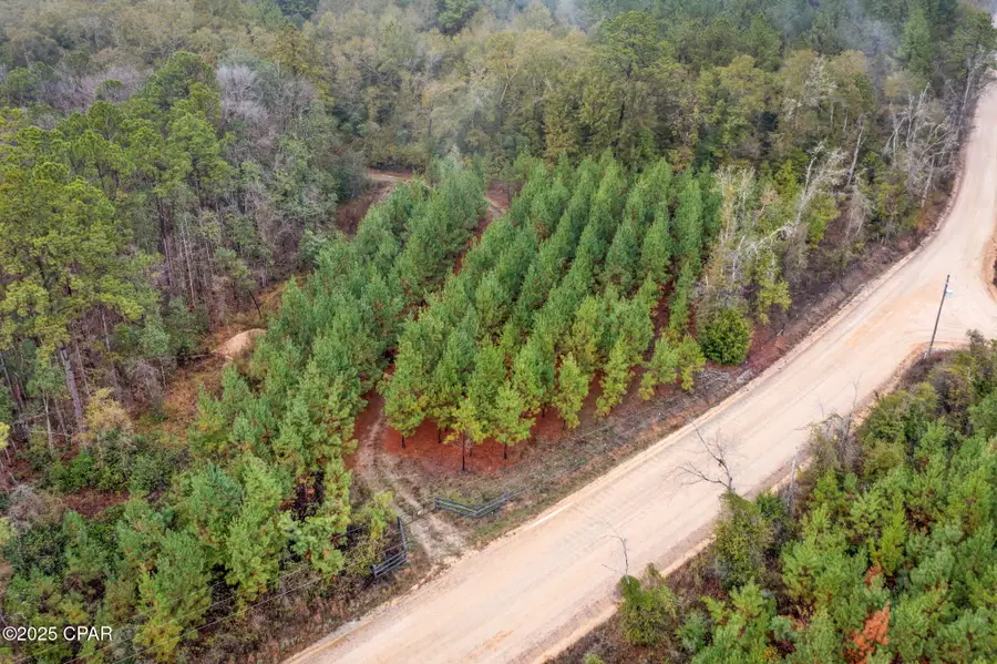 XXX White Road #12.78 Acres, Chipley, FL 32428 - Image #3