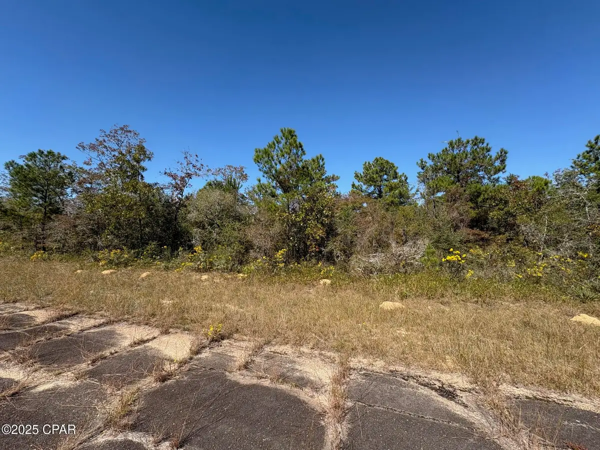 LOT 10 Maywood Street, Chipley, FL 32428 - Image #1