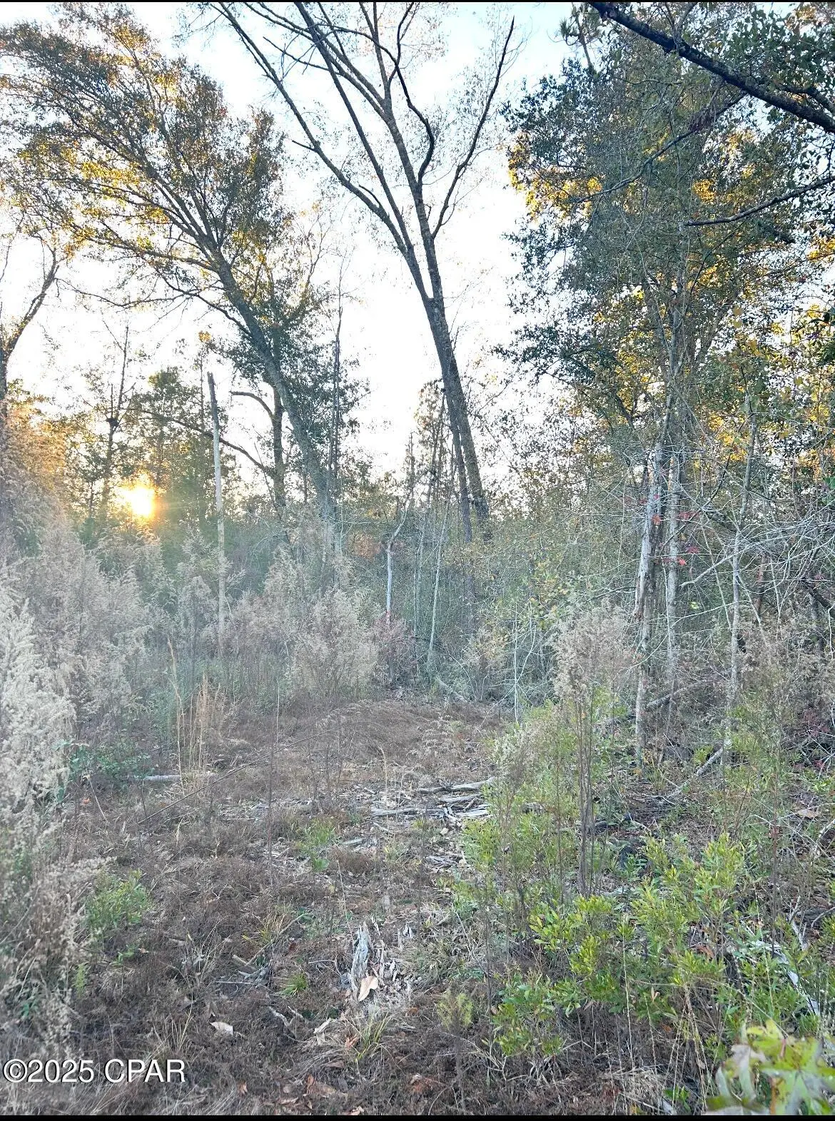 TBD Highway 90, Marianna, FL 32446 - Image #1