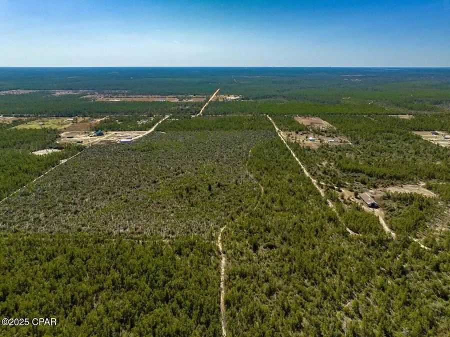 110 Acres Highway 20, Youngstown, FL 32466 - #3