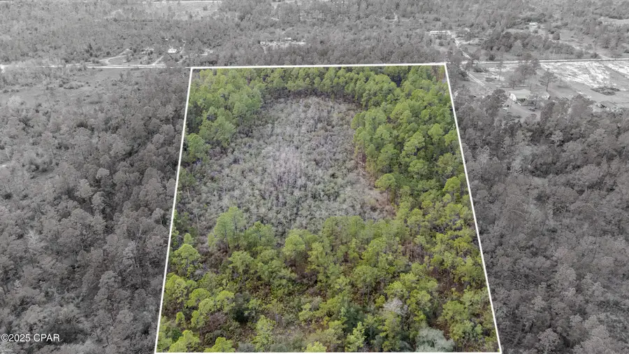 3-1N-11W Baker Road, Altha, FL 32421 - #3