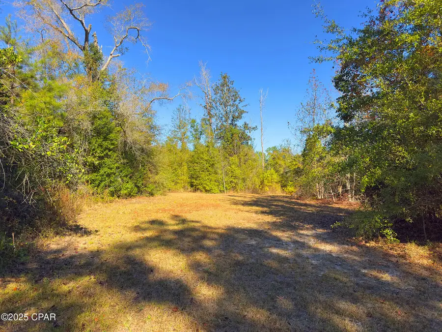 3760 S Hwy 71, Wewahitchka, FL 32465 - #3