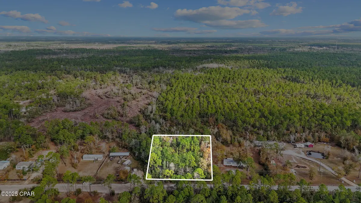 371 Newman Point Road, Southport, FL 32409 - #1